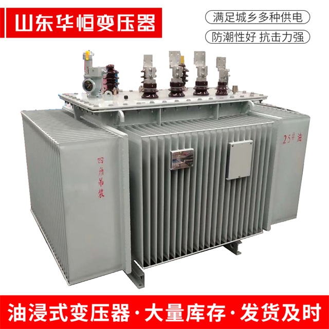 S13-10000/35袁州袁州袁州电力变压器厂家